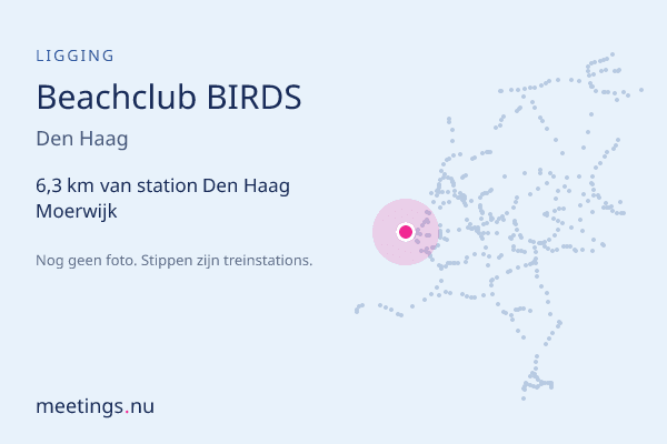 Beachclub BIRDS