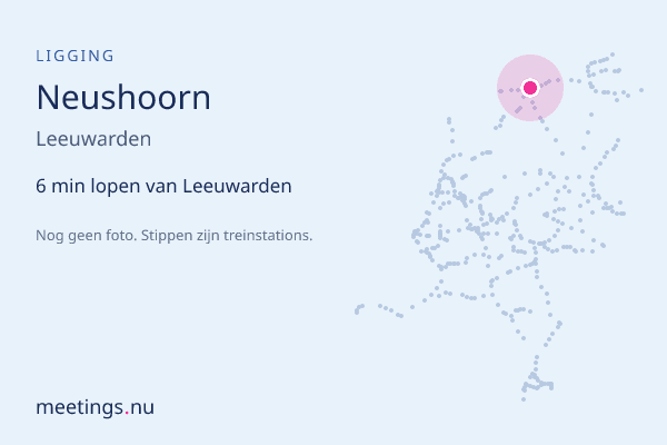 Neushoorn